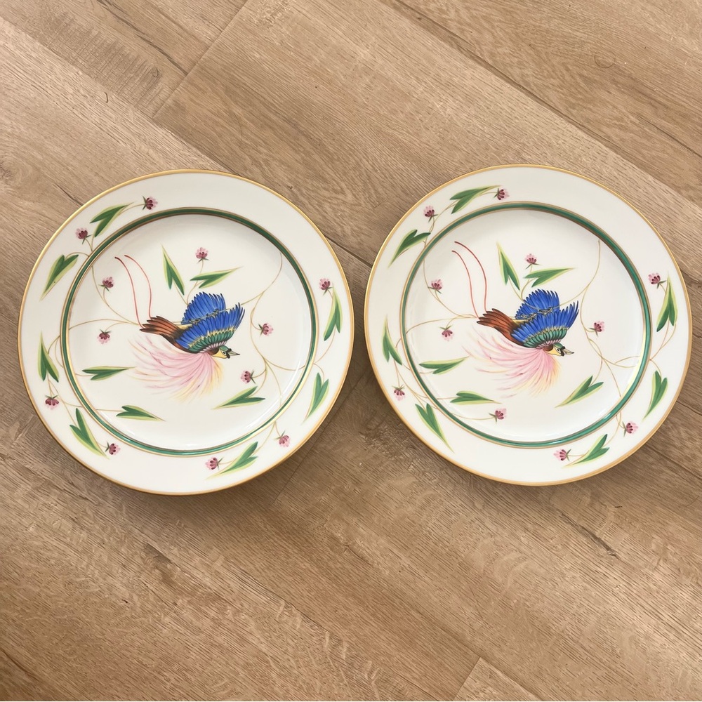 RARE 2 X Royal Danube Dinner Plates Hand Painted Bird‎ By Seres Erzsebet 9 3/4”